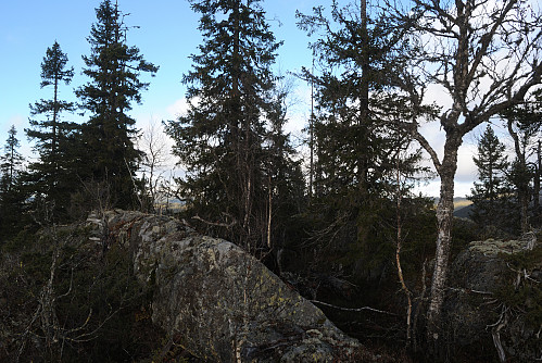 Austlige toppunktet på Honsås, 754 moh.