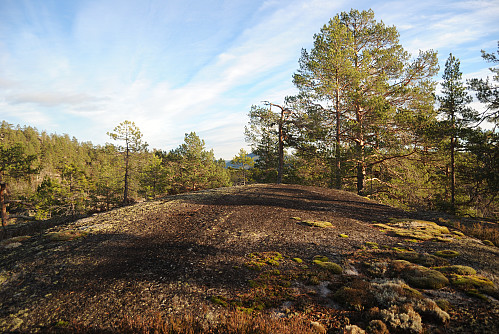 Toppunktet på den navnlause åsen sør for Livholdsdalen, 322 moh.