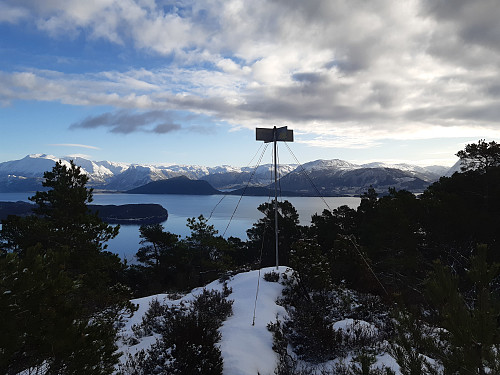 Toppen av Ølveshovda, 252 moh.