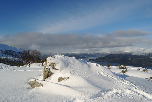 Toppen av Smalafjellet, 539 moh.