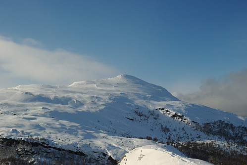 Utsyn mot Grytenuten.