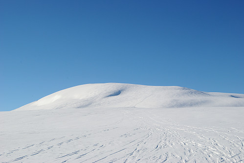 Grytehorga i bakgrunnen.