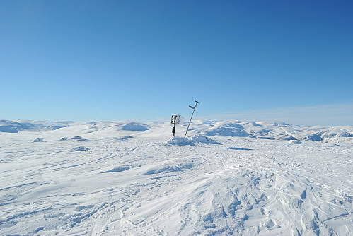 Toppen av Grytehorga, 1223 moh.