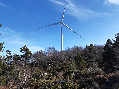 Ein av 14 vindmøller i Tysvær.