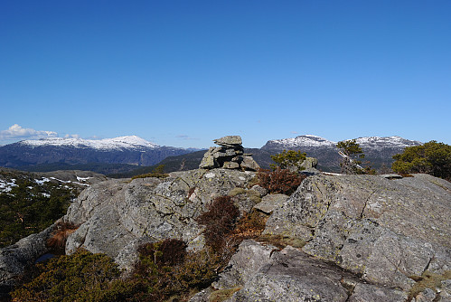 Toppen av Hambornuten, 461 moh.