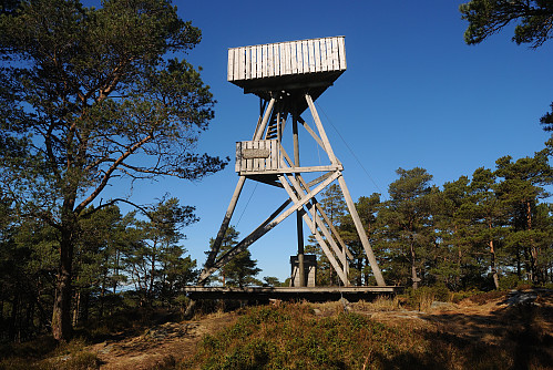 Toppunktet på Loddo, 243 moh.