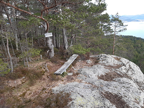 Toppen av Skjønhammar, 112 moh.