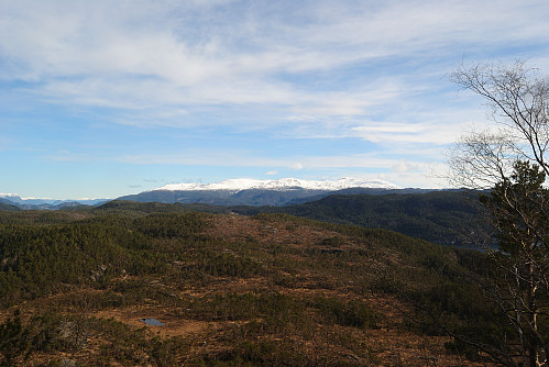 Utsikt mot Rosendalsalpene.