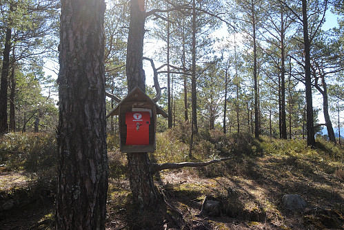 Toppen av Jevanburfjellet, 272 moh.