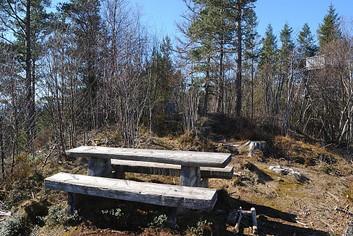 Toppen av Tofteåsen, 195 moh.