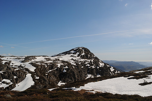 Røssenibben.