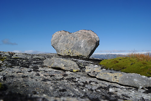 Toppen av Øst for Torvenuten, 1109 moh.