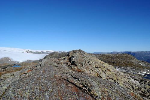 Toppen av Skjeggesnuten, 1369 moh.