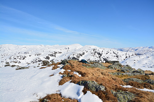 Toppen av Skorafjellnuten 865 moh.