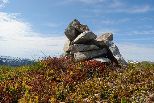 Fjæratoppen.