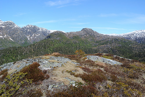 Toppen av Kikalonsnuten, 601 moh.