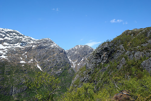 Blomstølsskardet. 