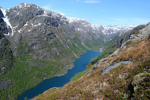 Sandvikedalen.