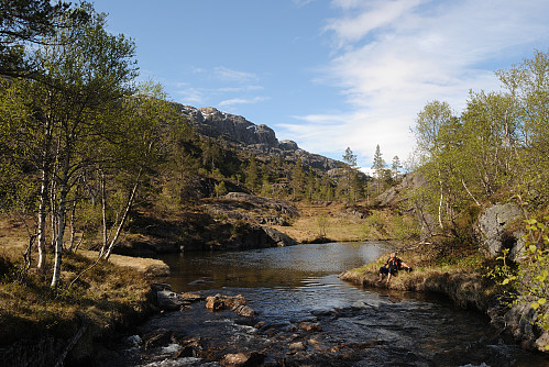 Hjorto i Hjortedalen.