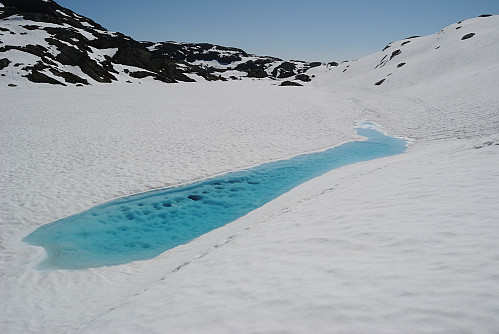 Skjeggesvatnet.