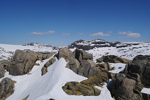 Toppen av Springborgnuten, 1209 moh.