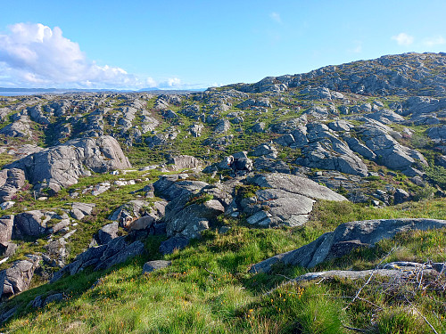 Grønt og frodig terreng.