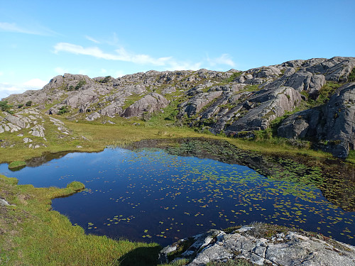 Tjødn ved mikkjesfjellet.