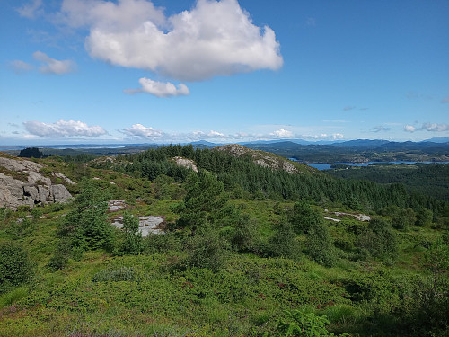 Neste topp Kjersfjellet, avgøymd bak granskogen.