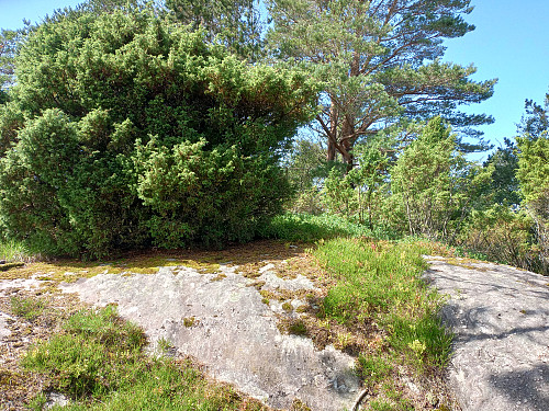 Toppen av Eikåsen, 116 moh.
