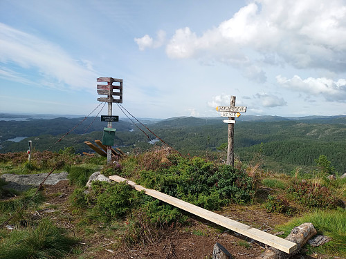 Toppen av Dyviksåto, 228 moh.