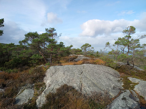 Toppunkt på Håfjell, 127 moh.