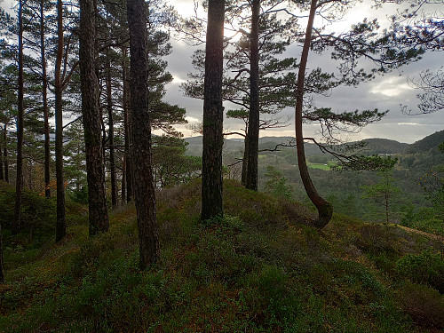 Avgøymd toppnkt på Rindane, 112 moh.