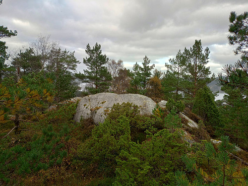 Toppen av Framnesnotten, 154 moh.