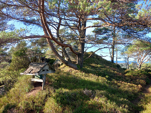 Toppen av Børøysåta, 169 moh.
