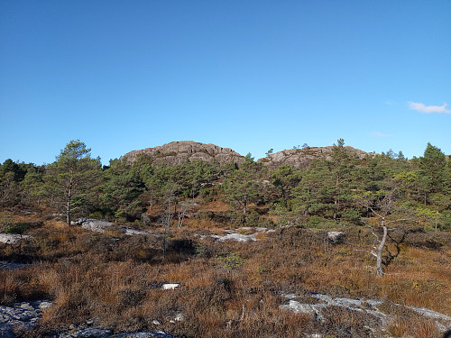 Lyklingsfjellet bak trea.