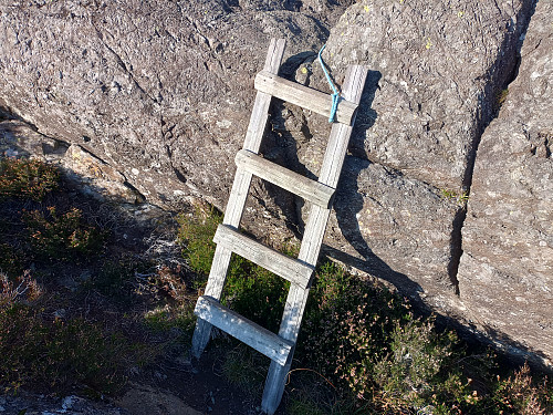 Tilrettelagt på stien.