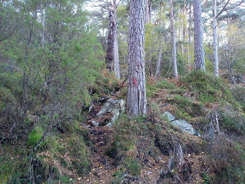 Avgøymd sti.