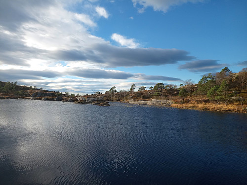 Skjenåstjødno.
