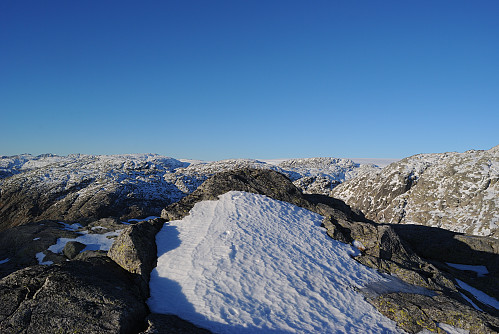 Høgaste punkte på det navnlause fjellet, aust for Bjødnabernuten, 1126 moh.