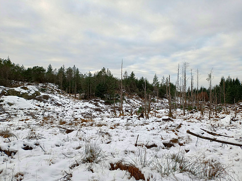 Kjedelig landskap.