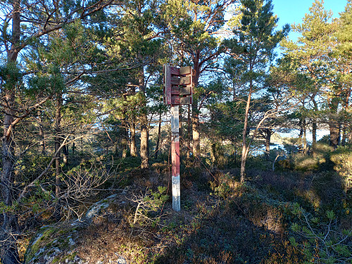 Toppen av Islandsfjellet, 99 moh.