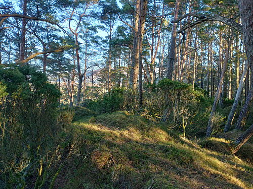 Toppen av Storåsen, 57 moh.