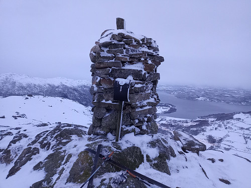 Toppen av Dyraskarfjedle, 531 moh.