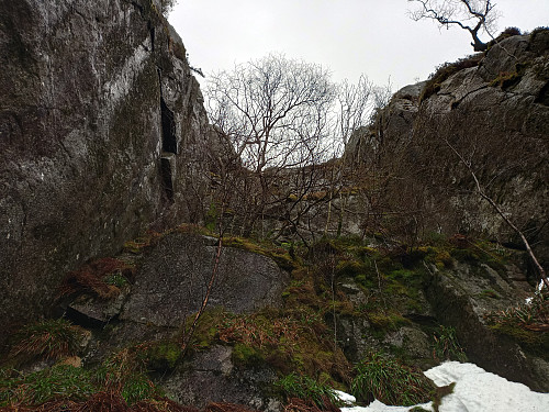 Midt i skaret.