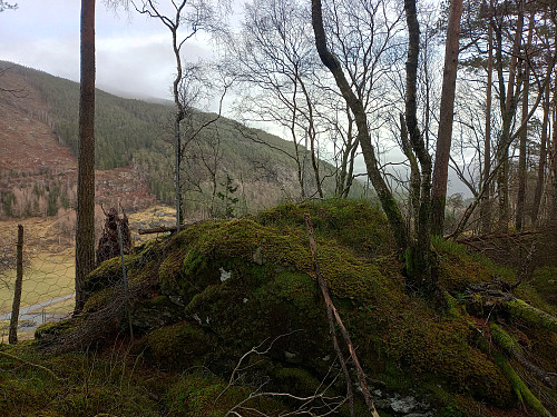 Toppen av Tømmeråsen, 157 moh.