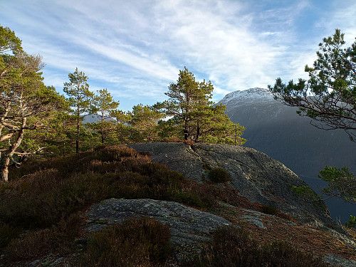 Toppen av Høgafjellet, 259 moh.