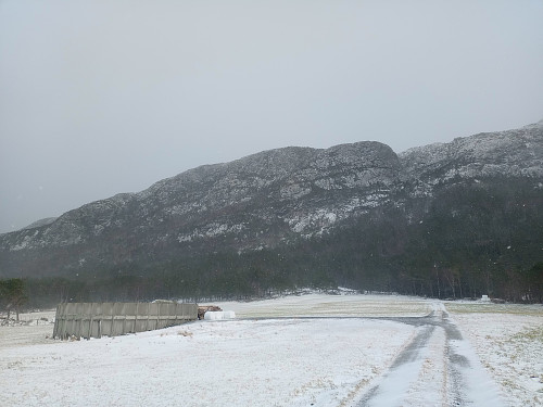Dyraskarfjedle sett frå Skittmyr.