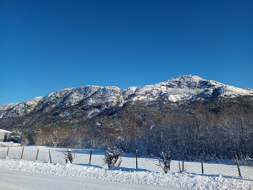 Dyraskarfjedle og Trodlanibbo.