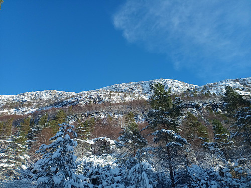 Fjellveggen.