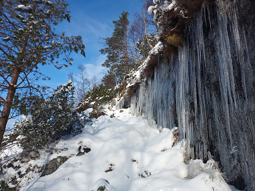 Mykje fjellhyller gjer det mogleg å traversere den bratte fjellveggen.
